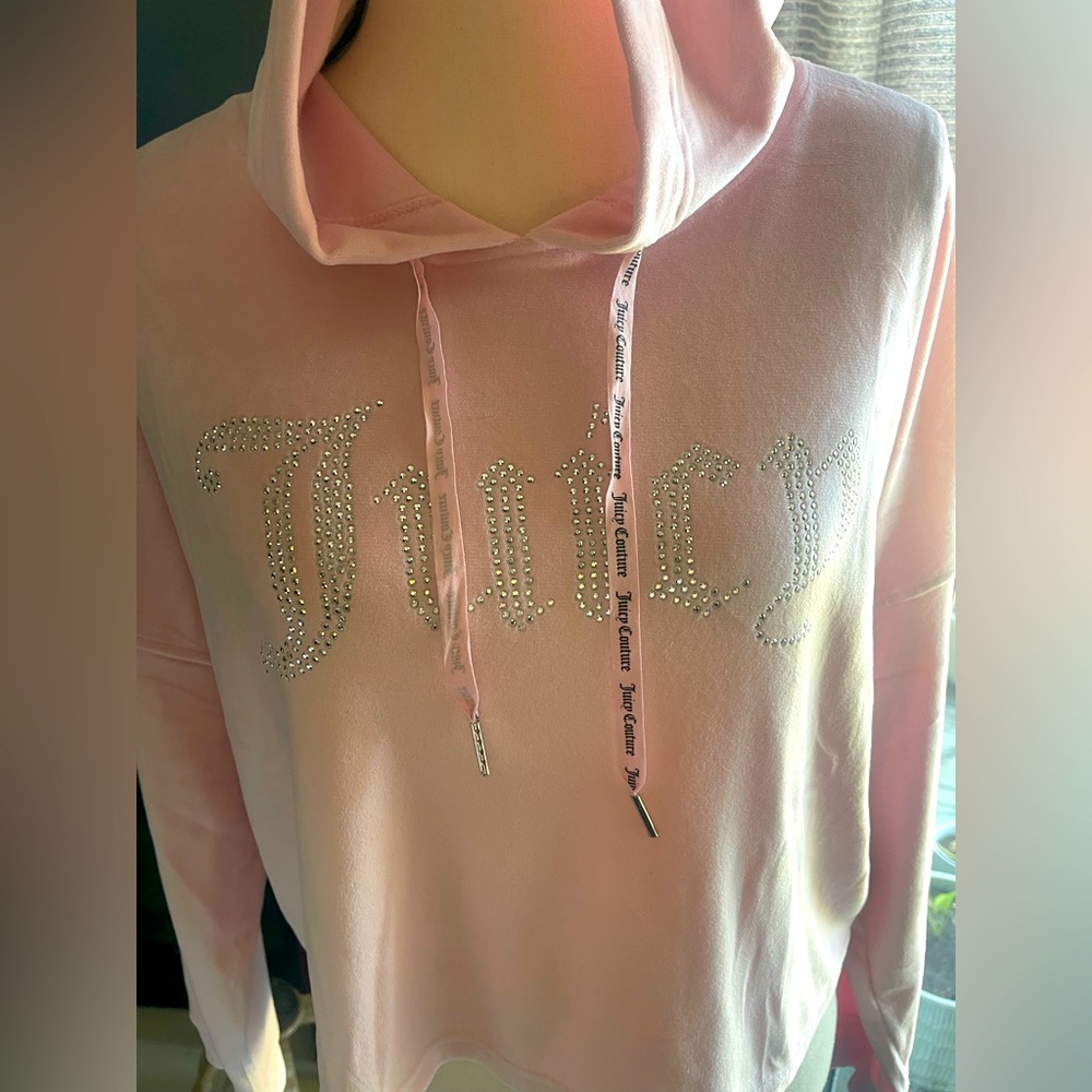 Juicy Couture Cropped Velour Hoodie